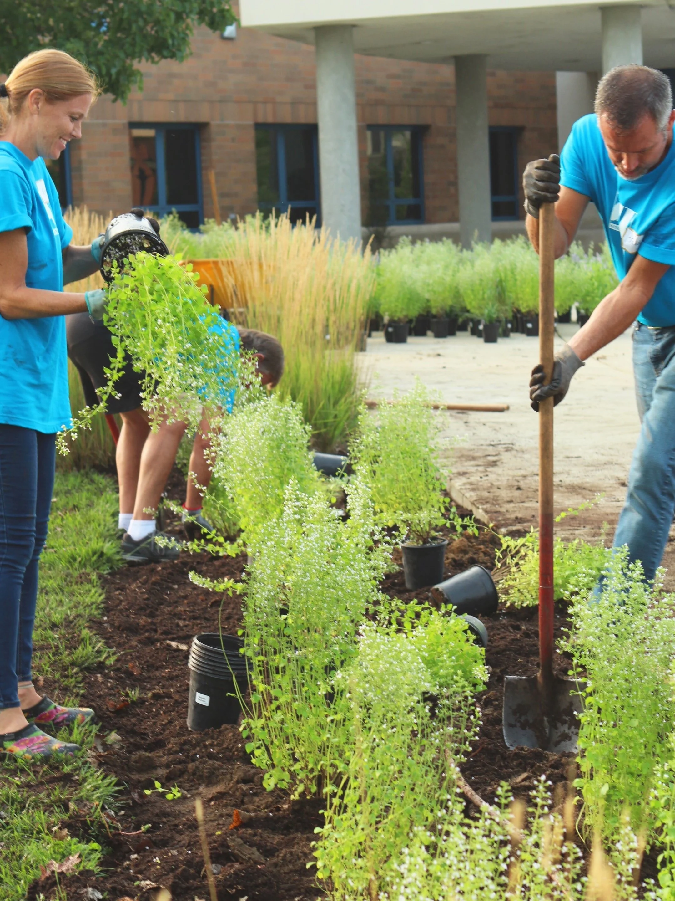 Serving in a community garden